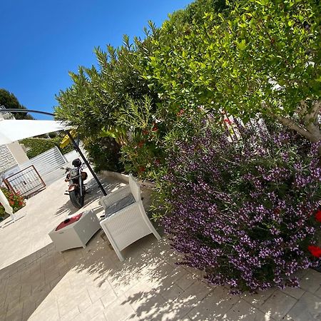 سيرولو Lagarolina Del Conero B&B المظهر الخارجي الصورة